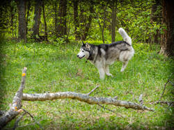 P5100164-ORF_DP.thumb.jpg.dcb26264dcf8bfe2cde8d072b8b69aa2.jpg