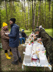 P5100184-ORF_DP-2.thumb.jpg.c5fba5254dcfa9142788956117fd6011.jpg