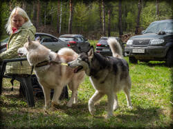 P5100222-ORF_DP.thumb.jpg.ea87ec4e9321b30dd54a9286374ec8f2.jpg