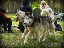 P5100223-ORF_DP.thumb.jpg.91c39ba3e55f64a913743eb73d3577c6.jpg
