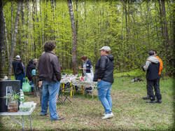 P5100233-ORF_DP-2.thumb.jpg.7d0cbbc62718a1cc6cbb7d8ef175ee03.jpg