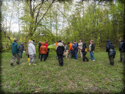 P5100236-ORF_DP-2.thumb.jpg.e9d553629a07f7e7c017226ee5ac1457.jpg