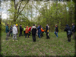 P5100237-ORF_DP-2.thumb.jpg.7e06d0688a173594c023a46a83546c1c.jpg