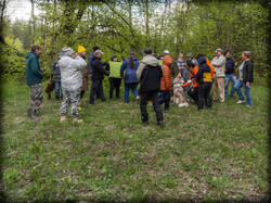 P5100238-ORF_DP-2.thumb.jpg.ac41531f85dab90fb859c8873b2461fc.jpg