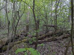 PXL_20250504_133713998.jpg