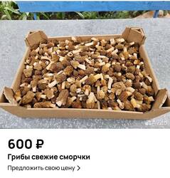 Screenshot_20250510-225016.thumb.jpg.3a637ef310d4832bb900da184055cd1d.jpg