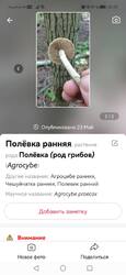 Screenshot_20250524_203910_com.glority.picturemushroom.thumb.jpg.68b4f49f28a63227b4b730ca98858db1.jpg