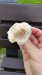 img_1748084501498.thumb.jpg.992008a1a7f010b7a732ad4a082b234c.jpg