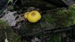 1421284874_06-25-02-(3).thumb.jpg.dc4c489a4c186ba75356a64c8287b243.jpg