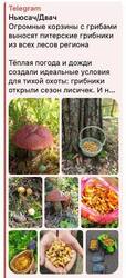 IMAGE 2025-06-25 14:15:34.jpg