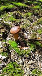 IMG_20250630_102546 - 1K JPEG.jpg