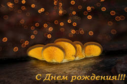 ДР_Окс.jpg