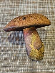 20250616_182515(1).thumb.jpg.e132e49e881e6cc29ced3a4c77213b44.jpg
