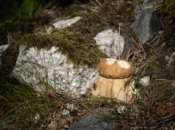 20250626-M3JR7657.thumb.jpg.d485c395688dceabfc23b45026a6f4b8.jpg