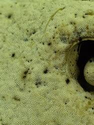 20250626_125319.thumb.jpg.cd71d758c59e9fefd3960455d0d530bc.jpg