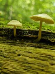 20250627_131427.thumb.jpg.318651e268dae2d1e51423f449a4ab82.jpg