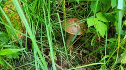 20250628_051902.jpg