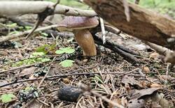 20250628_111635.jpg