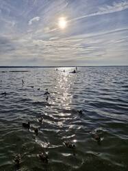 20250628_183330.thumb.jpg.89cf2ee2eeb9c6cf0473e89654a01b7c.jpg