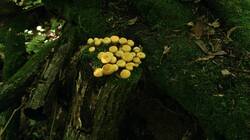 366452451_06-25-24-(3).thumb.jpg.c11c2994da1a3a4ef162cbd6a5022b25.jpg