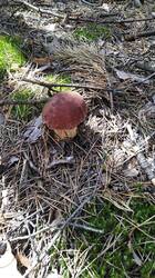 IMG_20250630_103227 - 1K JPEG.jpg
