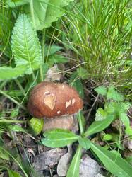 IMAGE 2025-06-25 13:46:57.jpg