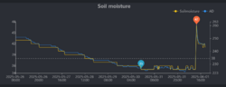 72785505_2025-06-0121_24_39-EcowittWeatherMozillaFirefox.thumb.png.978a509de1f0dc904db11ddfd3e56b23.png