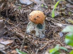 D73A8008.jpg