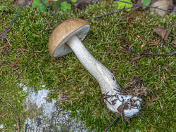 D73A8050.jpg