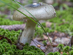 D73A8052.jpg