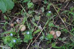 DSC05803.jpg