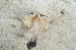 DSC05814.jpg