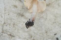 DSC05816.jpg