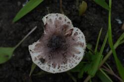 DSC05868.jpg