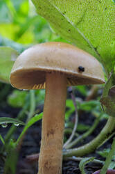 DSCN0329.thumb.JPG.6b6a5060aa84889c1b267601cccd2bf8.JPG