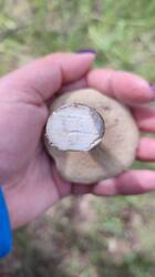 IMG-20250611-WA0007.jpeg