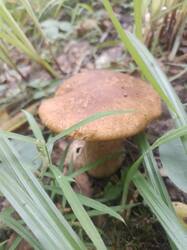 IMG-20250619-WA0007.jpg