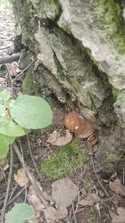 IMG-20250619-WA0009.jpg