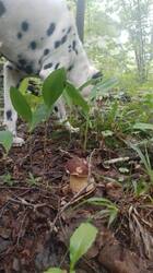 IMG-20250620-WA0012.jpg