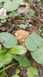 IMG-20250620-WA0014.jpg