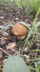 IMG-20250620-WA0015.jpg
