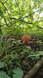 IMG-20250620-WA0016.jpg