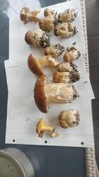 IMG-20250620-WA0018.jpg