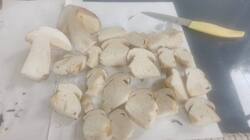 IMG-20250620-WA0020.jpg