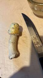 IMG-20250626-WA0002.jpg