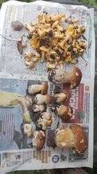 IMG-20250627-WA0002.jpg