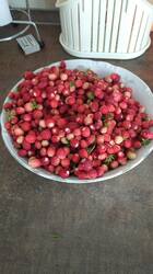 IMG-20250628-WA0000.jpeg