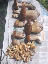 IMG-20250629-WA0000.jpg