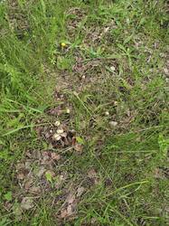 IMG20250607141743.jpg