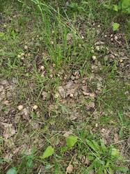 IMG20250607141750.jpg